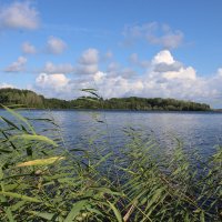 на озере :: Ирина Лесиканич