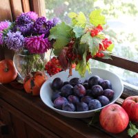 Мой дом. :: Венера Чуйкова