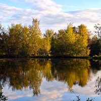 Софрино :: Наталья 