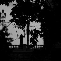 Ч/б :: Мария Яковлева