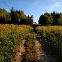 Бабье лето в ближнем Подмосковье :: Андрей Лукьянов