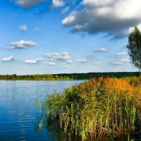 Про осень (репортаж из поездок по области) :: Милешкин Владимир Алексеевич 