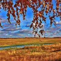 Бабье лето в пойме Сырого Агана! :: Владимир 