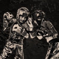 Тзквондо :: SanSan 