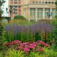 Сентябрь, он осени начало… А может, продолженье лета? :: Татьяна Помогалова