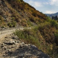 По - летнему жарко :: LudMila 