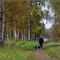 Осенний променад ... :: Aleksandr Gal