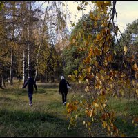 ....вот и осень пришла.... :: Aleksandr Gal ....вот и осень пришла.... :: Aleksandr Gal