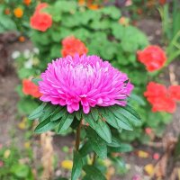 ,,, :: Сергей Тимоновский