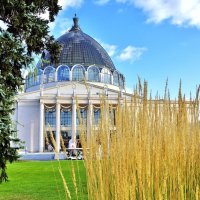 ВВЦ :: АЛЕКСАНДР 