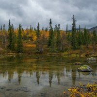 Облачным утром...... :: Юрий Цыплятников Облачным утром...... :: Юрий Цыплятников