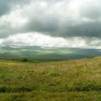 Плато Лаго-Наки, июль :: Игорь Сикорский Плато Лаго-Наки, июль :: Игорь Сикорский