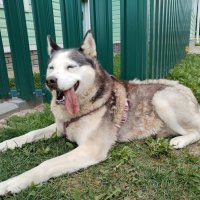 Подружка :: Юлия 