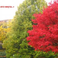 Осень в Карловых Варах :: Ольга Лебедева (Беловласова)