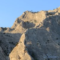 Природа Крыма :: Amazing Cosmea