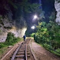 ГУАМСКОЕ УЩЕЛЬЕ :: Tata Wolf