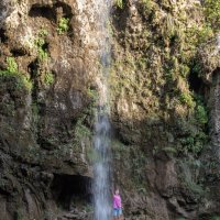 *** :: Олег Грибенников