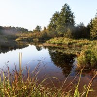 *** :: Игорь Чичиль