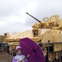 Не страшны на Брэдли :: Дмитрий Петренко