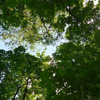 Схождение :: Сергей Беляев