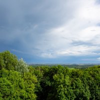 За несколько минут перед дождем :: Дарья Рогозина