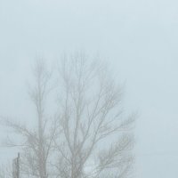 Туман :: Яна Горбунова