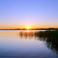 Солнце 4 :: Игорь Тельцов