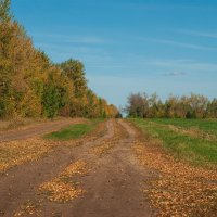По золотой дороге :: Дмитрий Ряховский По золотой дороге :: Дмитрий Ряховский