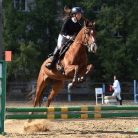 Конкур. Волгоград. Клуб "Добрыня" :: Александр Гриднев