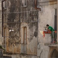 . :: Daniela Dluhošová