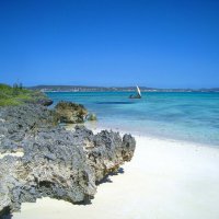 Кусочек Мадагаскара. :: unix (Илья Утропов)