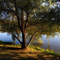 Бабье лето на Терлецких прудах :: Андрей Лукьянов