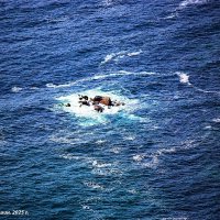 Хоровод :: Александр Чашин