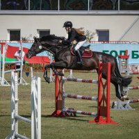 Конкур :: Анатолий Шумилин