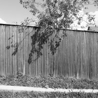 ... :: Денис Безногов