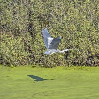 Пора лететь в Крым :: Валерий Иванович Пора лететь в Крым :: Валерий Иванович