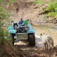 Ну долго тебя ещё ждать? :: Галина Ильясова