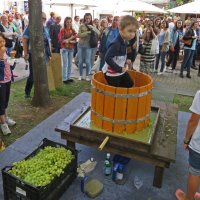 юный виноградарь :: ИРЭН@ .