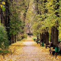 Дождь прошёл , сразу посветлело,,,) :: Анатолий Колосов