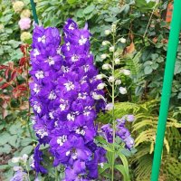 ,,, :: Сергей Тимоновский ,,, :: Сергей Тимоновский