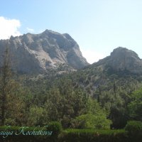 Природа Крыма :: Amazing Cosmea