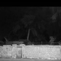 113 (93) :: CLOSE WAYS ALL