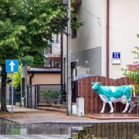 Новы Двур Мазовецки :: Светлана Ищенко