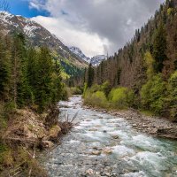 Гоначхирское ущелье, Тебердинский заповедник, Домбай. :: Дина Евсеева