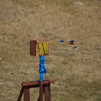 Мишень :: Александр Посошенко Мишень :: Александр Посошенко