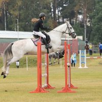 Конкур :: Анатолий Шумилин