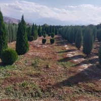 Talgar. :: Murat Bukaev 