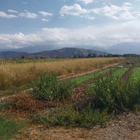 Talgar. :: Murat Bukaev 