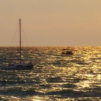 Золотое :: Павел Трунцев