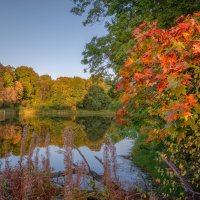 Вот и осень пришла :: Сергей 